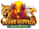 Grand Buffalo